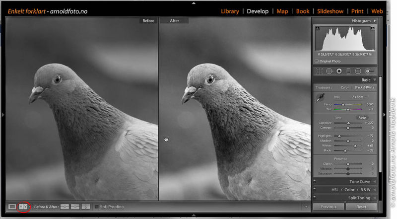 Before - After viser bilder før og etter redigerig, her sort/hvitt - før og etter