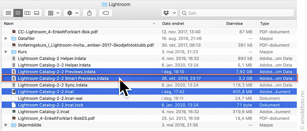 Filene merket med blått hører sammen. Lightroom catalog-2-2.lrcat er selve katalogfilen, og Lightroom catalog-2-2 previews.lrdata er previews