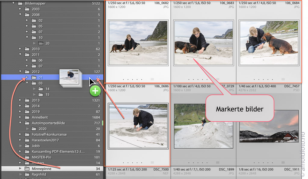 Flytt bilder i Lightroom Folders - arnoldfoto.no