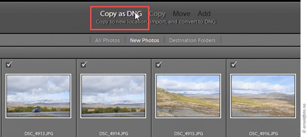 Med importinnstillingen; Copy as DNG blir bildene kopiert til valgt mappe, importerte til Lightroom og så konverterte til DNG