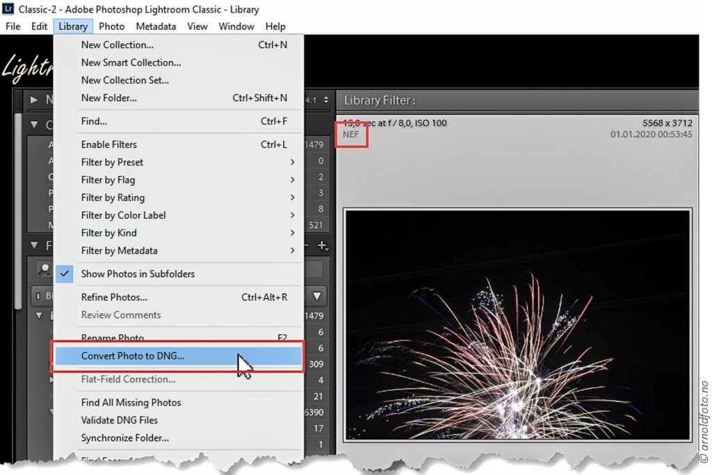 RAW-filer kan konverteres til Digital Negativ Graphics (DNG) i Lightroom Classic