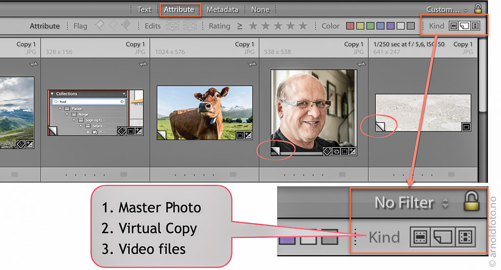 Ved hjelp av library Filter, Attribute kan du vise master eller kopi