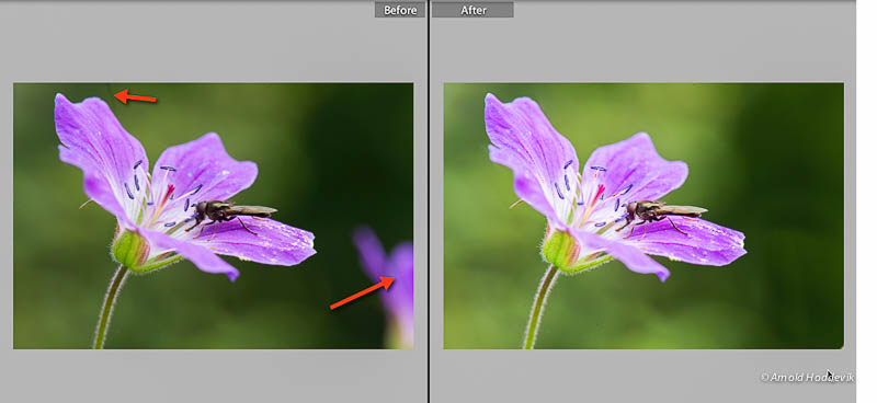 Bildet viser originalt bilde (Before) og redigert Smart Preview (After)