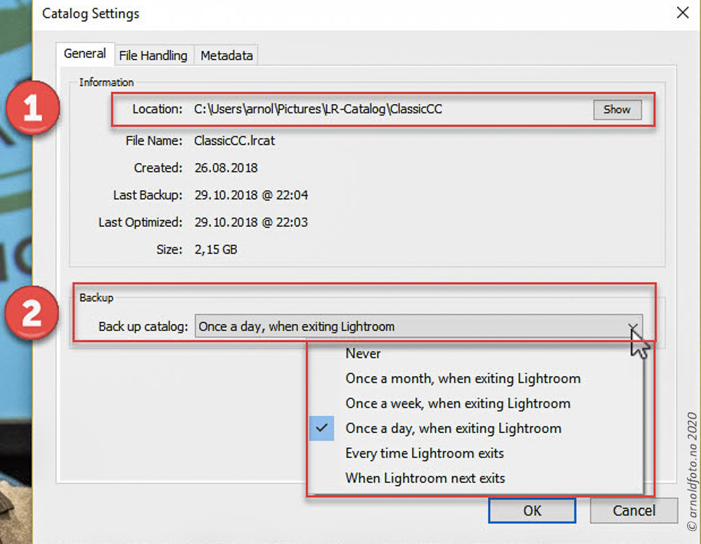 Catalog settings viser opplysninger om katalogfil og hvor ofte du vil ta kopi av den i forbindelse med avslutting av Laghtroom Classic