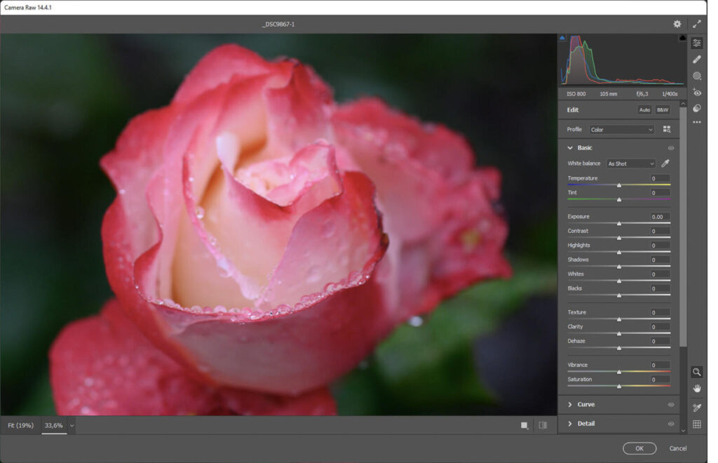 Adobe Camera RAW skjermbilde