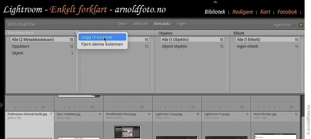Legg til ny kolonne i Library filter, Metadata. Du kan ha inntil 8 kolonner.
