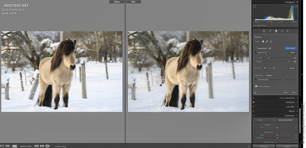 Generative AI - Intelligent fjerning i Lightroom Classic.