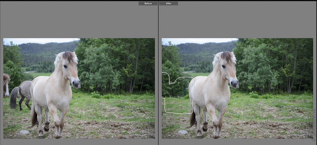 Generative fjerning har blitt enklere i Lightroom Classic